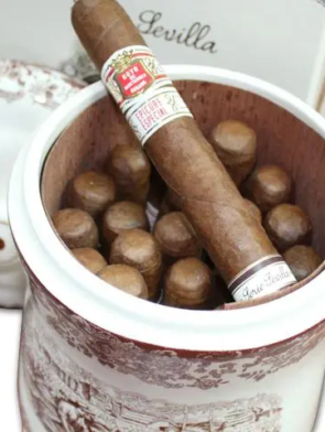 Hoyo de Monterrey Epicure Coleccion