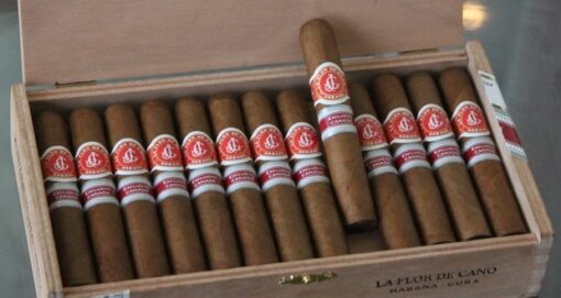 La Flor De Cano Siboney - Box of 25