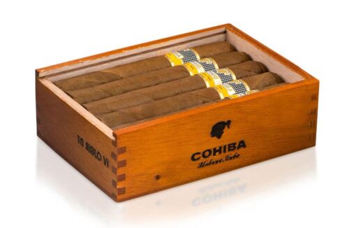 COHIBA SIGLO VI - Box of 25 - Image 3