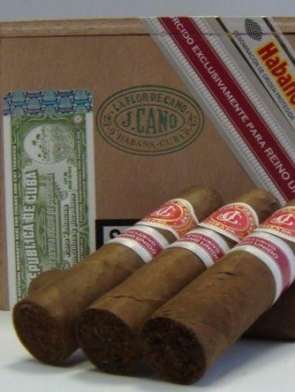 flor-de-cano-short-robusto2