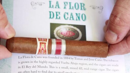 La Flor De Cano Siboney - Box of 25 - Image 2
